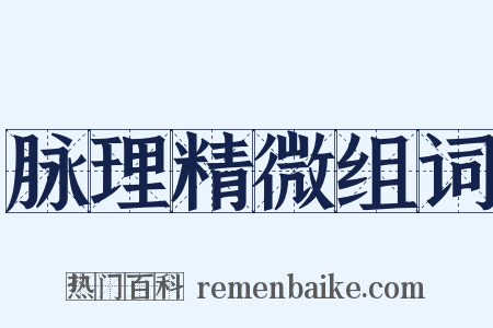 脉理精微组词是什么意思的图片